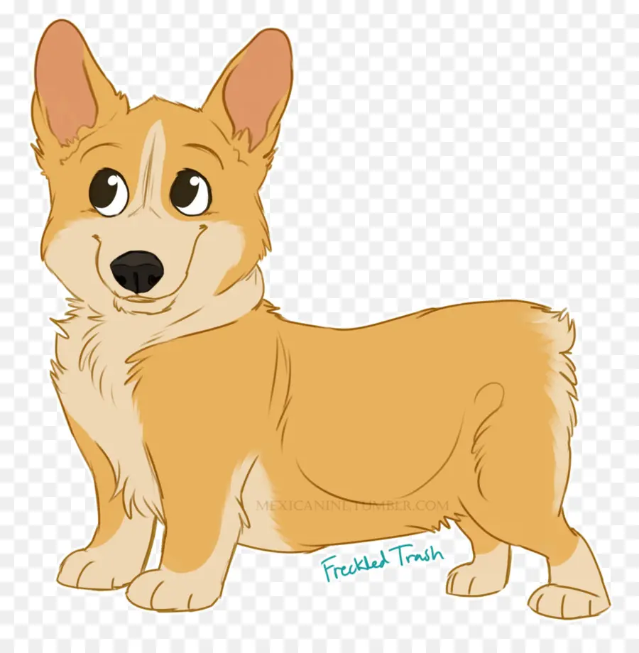 Pembroke Welsh Corgi，Cardigan Welsh Corgi PNG