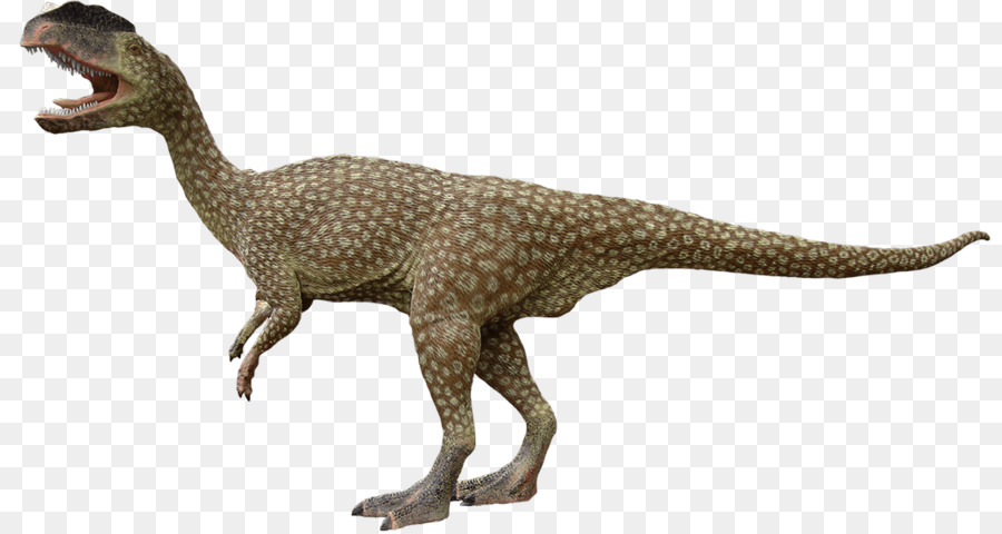 Dinossauro，Pré Histórico PNG