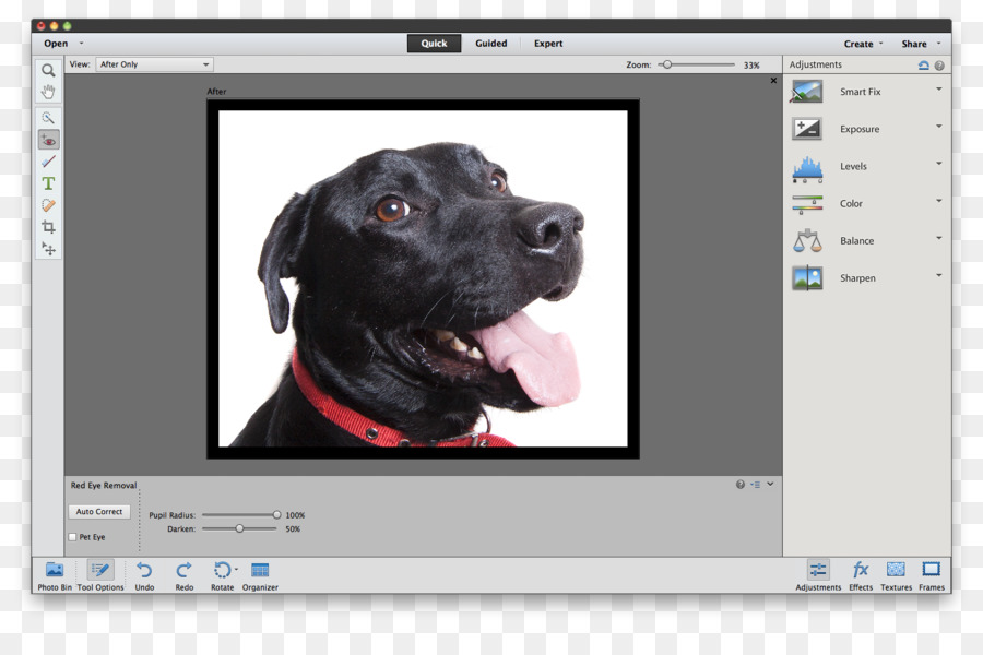 O Adobe Photoshop Elements，Tutorial PNG