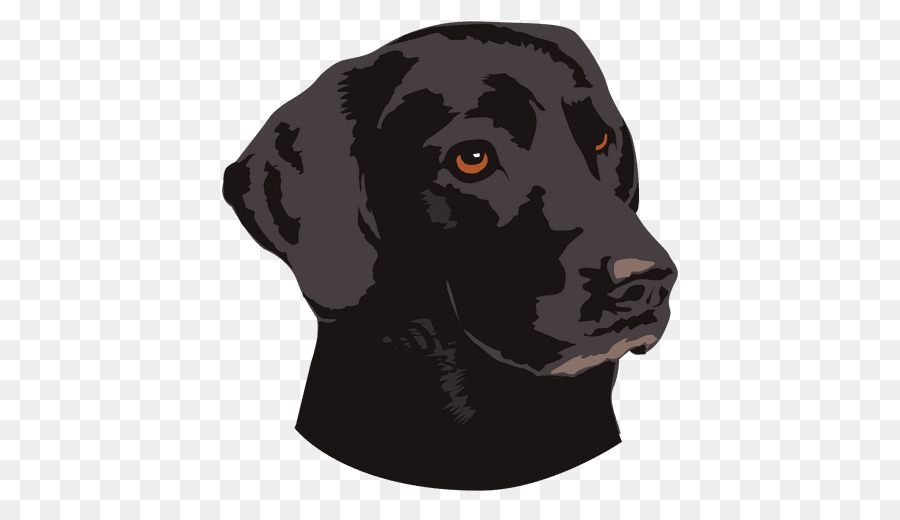 Cachorro Preto，Bicho De Estimação PNG