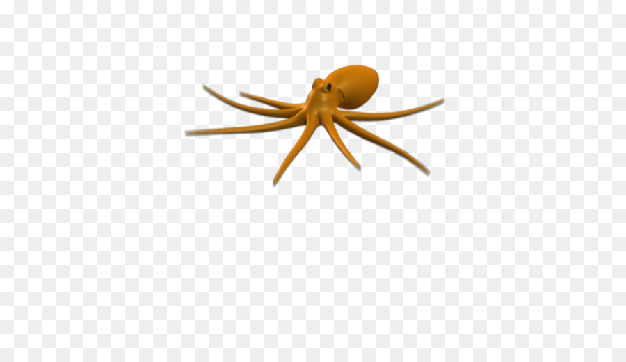 Aranha，Aracnídeo PNG