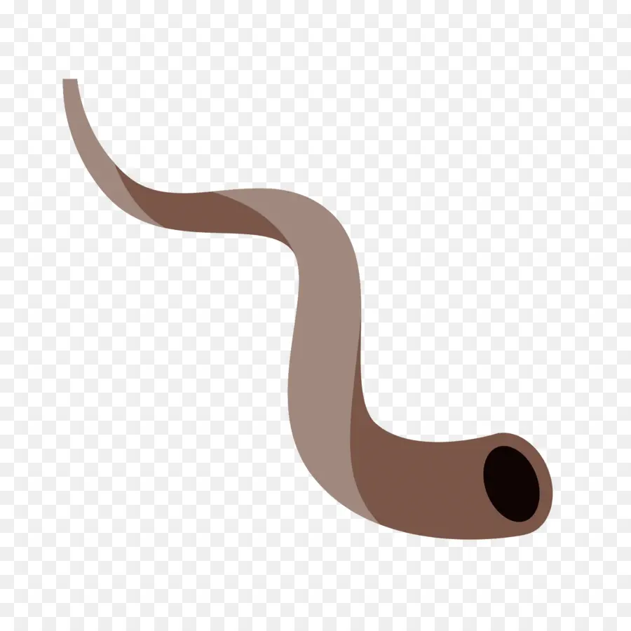 Bíblia，Shofar PNG