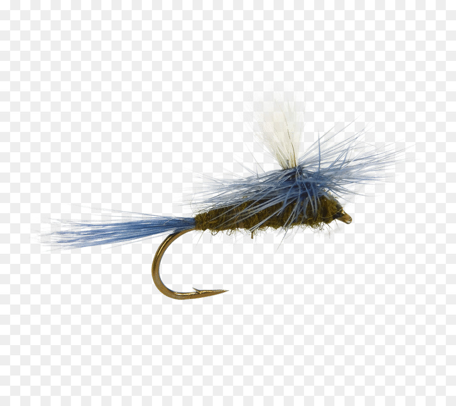 Mosca De Pesca，Gancho PNG