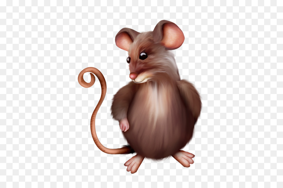 Rato Fofo，Roedor PNG