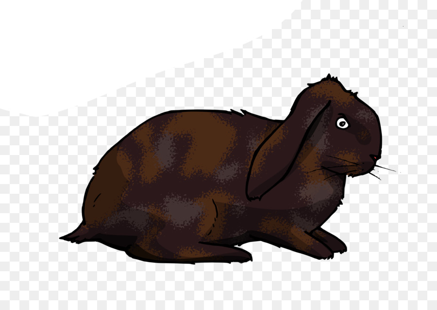 Coelhos，Lebre PNG