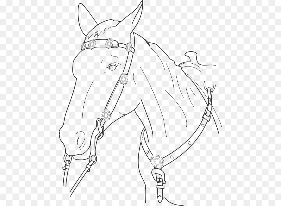 Cavalo，Animal PNG