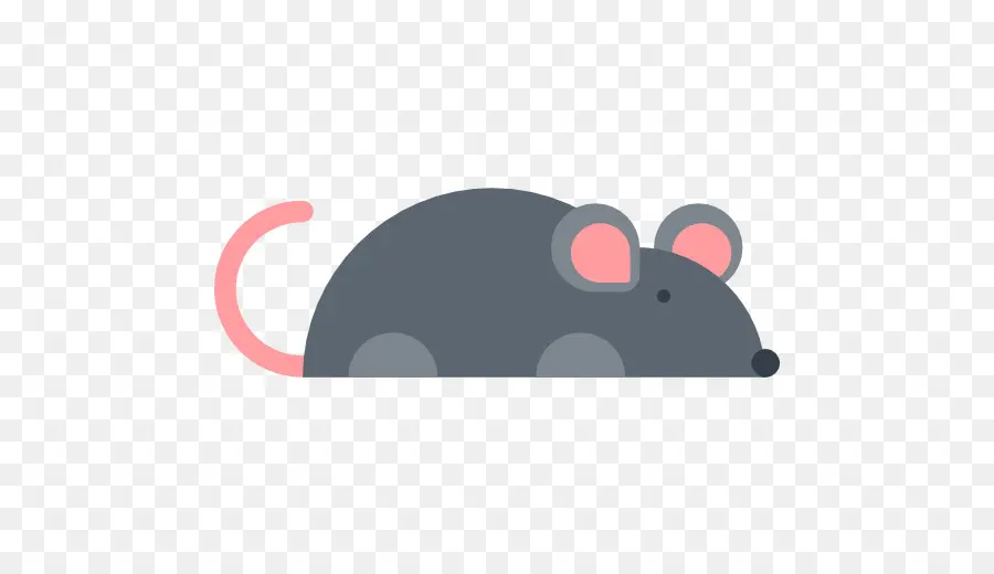 Rat，Mouse PNG