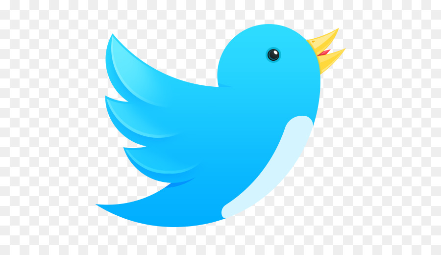 Logotipo Do Twitter，Pássaro PNG