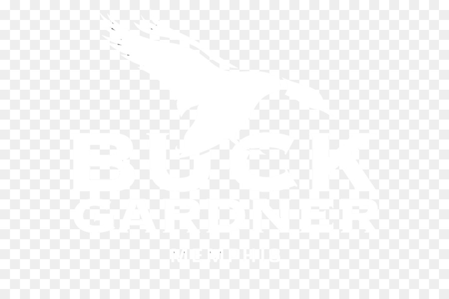 Gato Transparente，Animal PNG