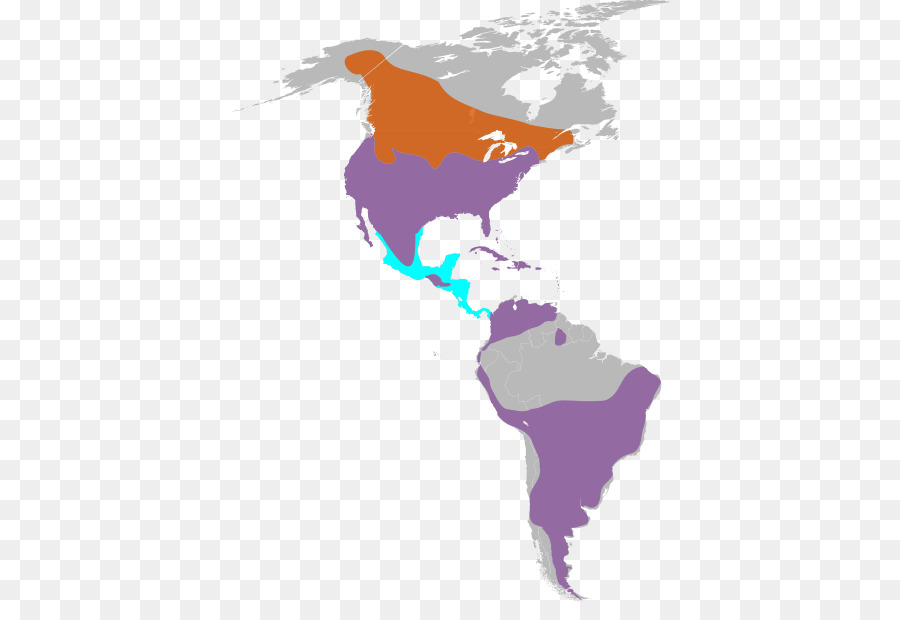 Estados Unidos，América Do Sul PNG