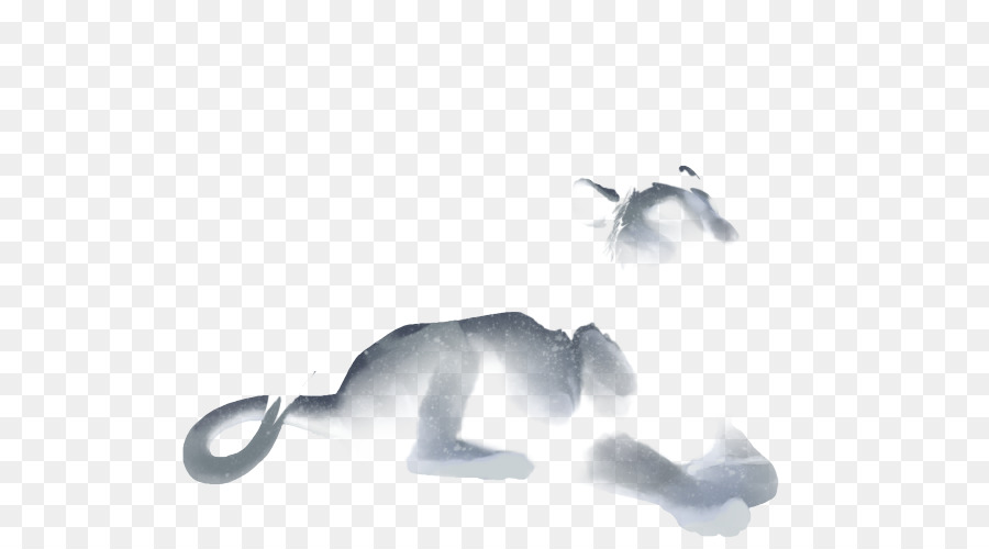 Gato，Aves PNG