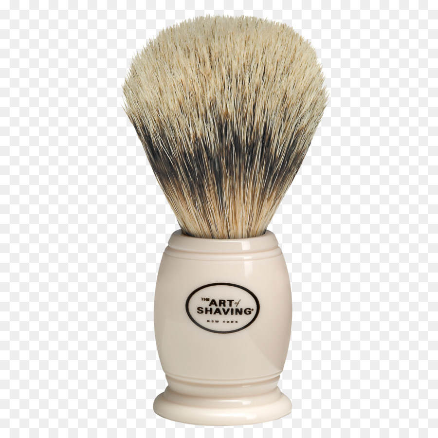 Texugo Europeu，Pincel De Barbear PNG