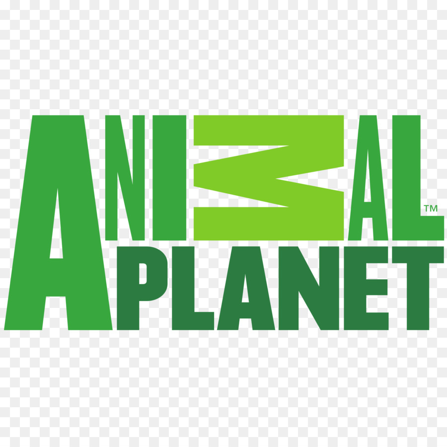 Logotipo Do Planeta Animal，Texto PNG