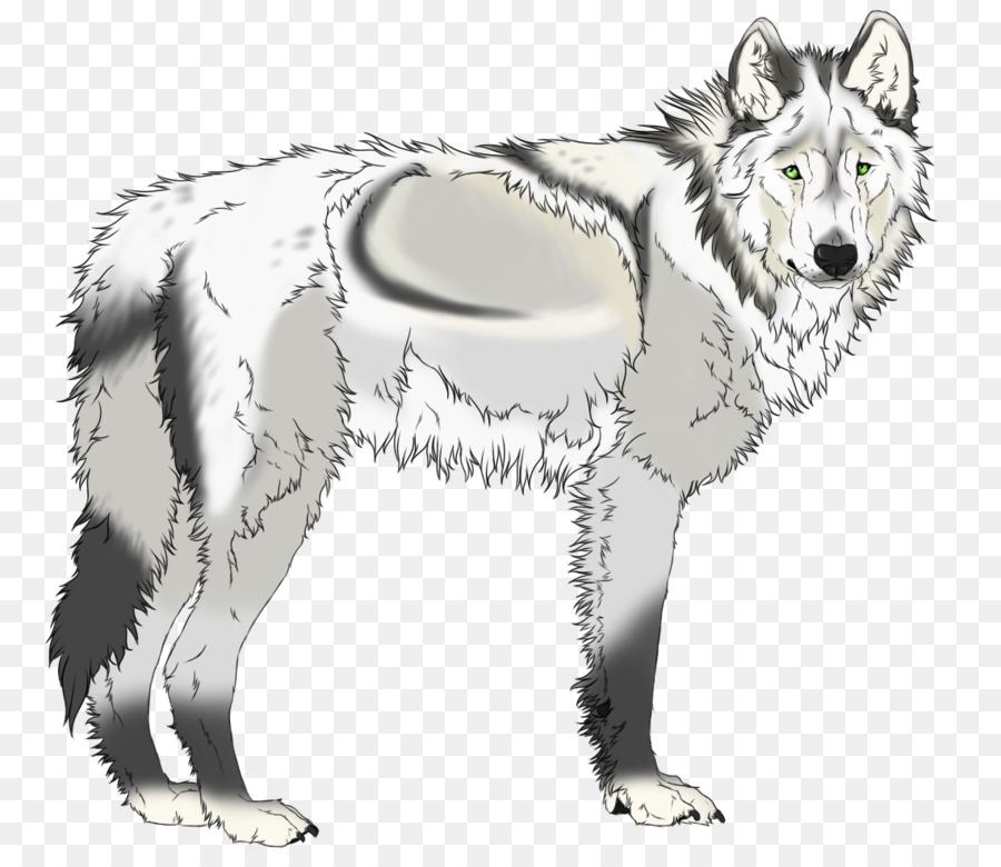 Lobo，Branco PNG