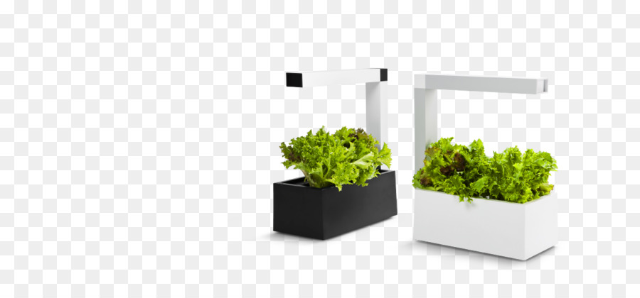 Plantas，Plantador PNG