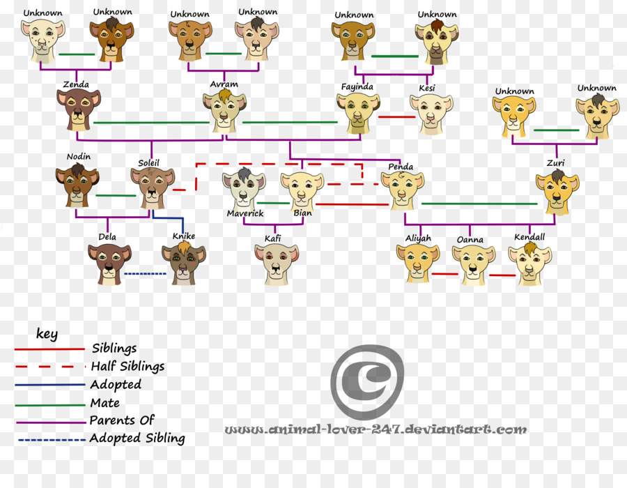 Árvore Genealógica Animal，Genealogia PNG