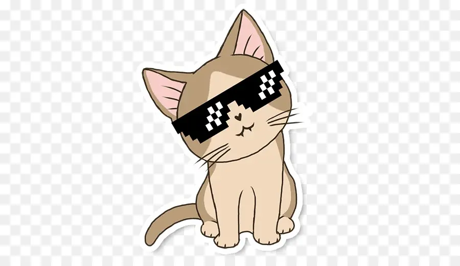 Gato Legal，Óculos De Sol PNG