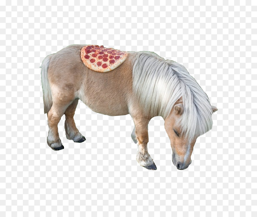 Pizza，Pepperoni PNG