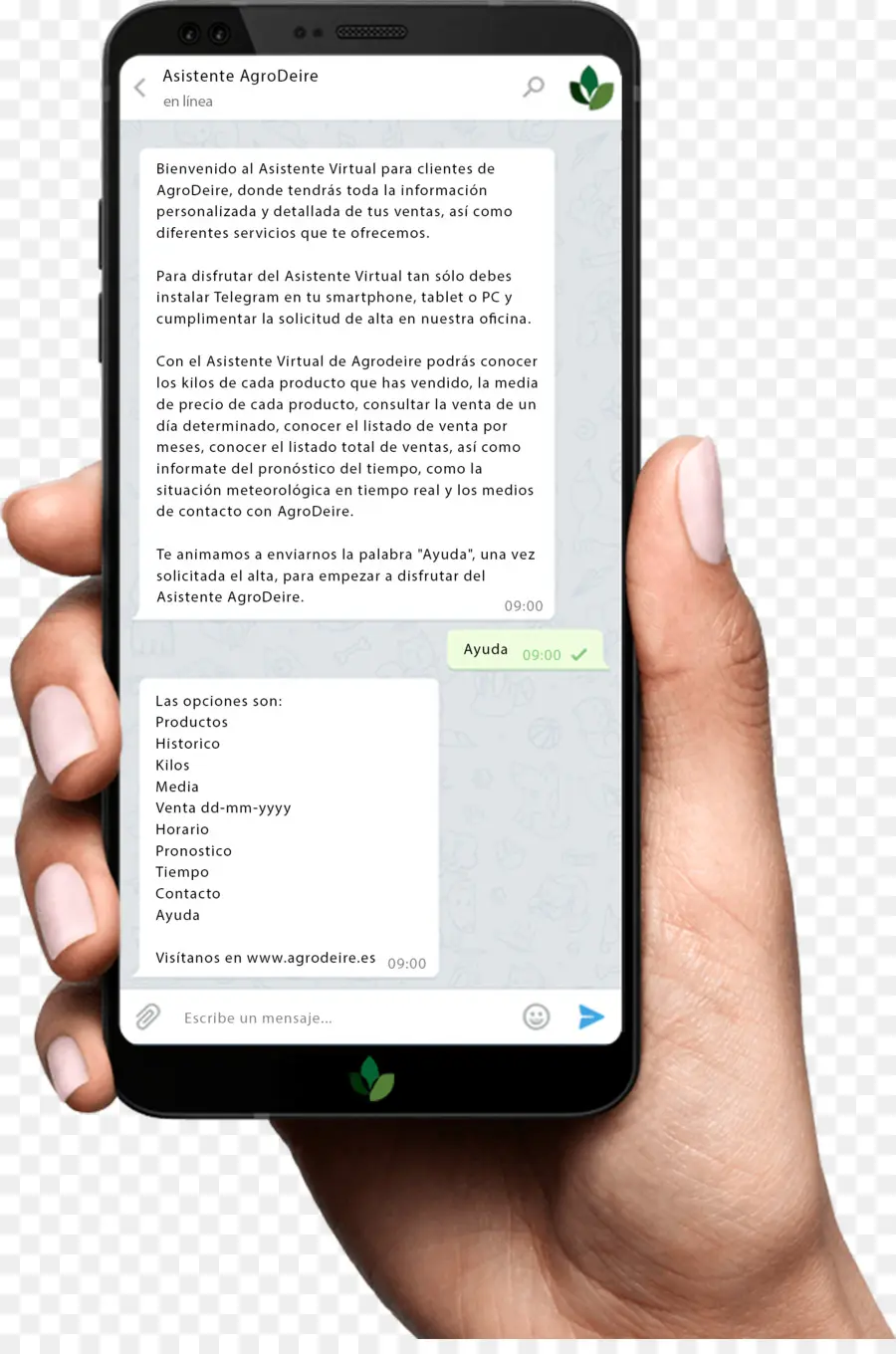 Smartphone Com Bate Papo，Mão PNG