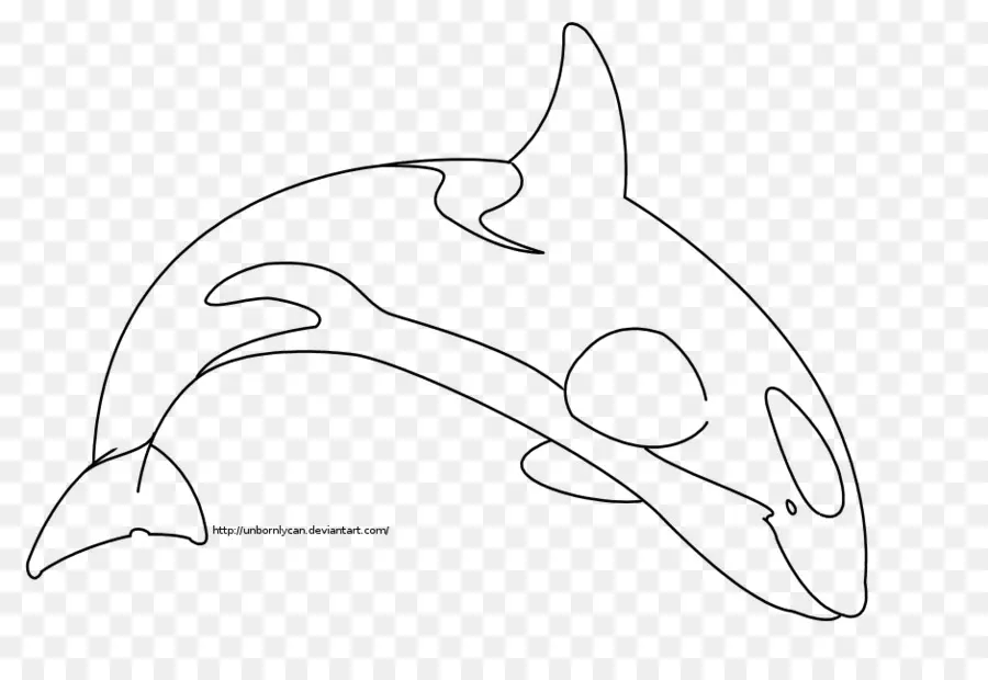 Dolphin，Arte De Linha PNG