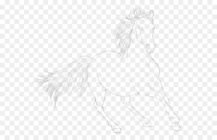 Cavalo，Arte Linear PNG