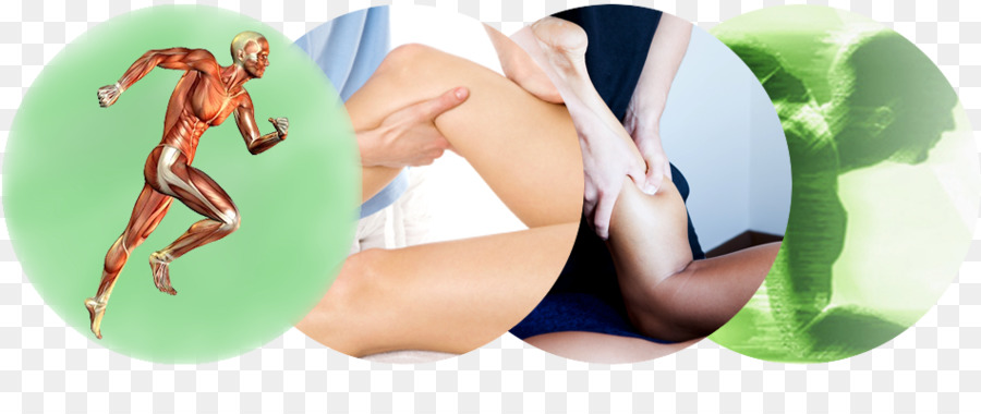 Fisioterapia，Massagem PNG