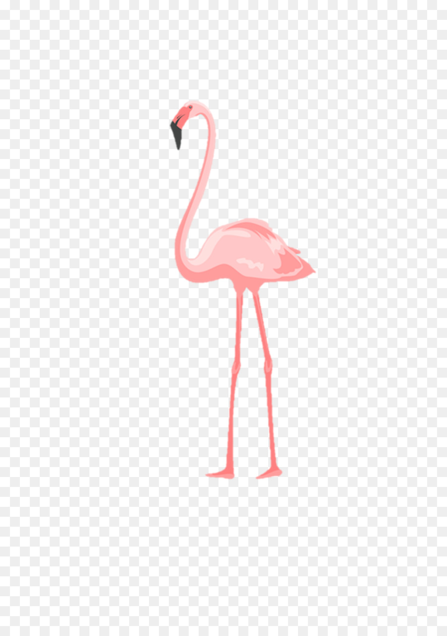 Flamingo Rosa，Flamingo PNG