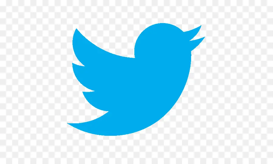 Logotipo Do Twitter，Mídia Social PNG