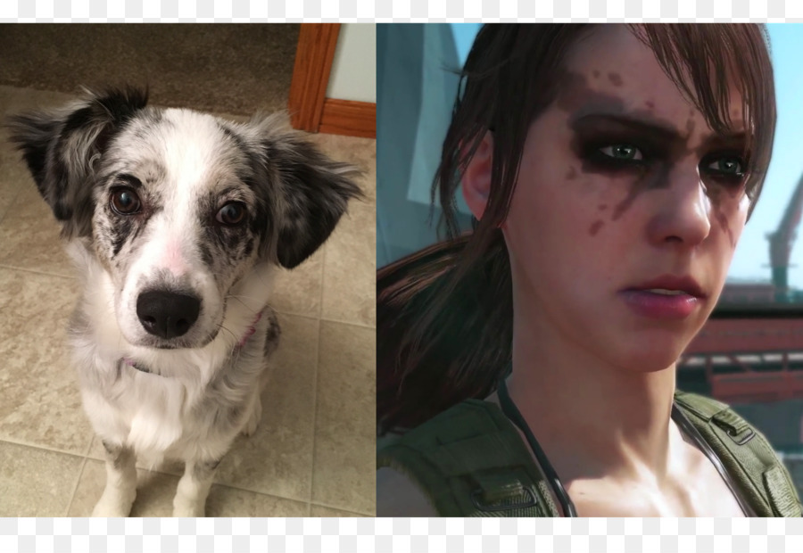 Raça Do Cão，Metal Gear Solid V A Dor Fantasma PNG