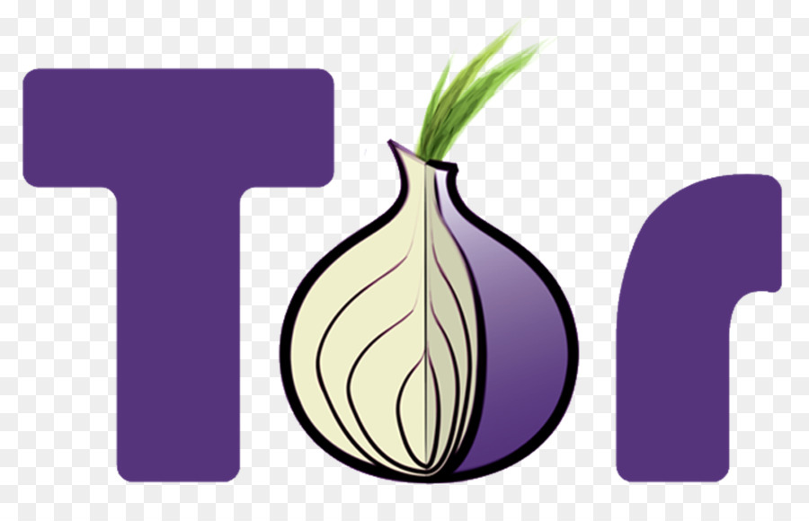 Logotipo Do Tor，Cebola PNG