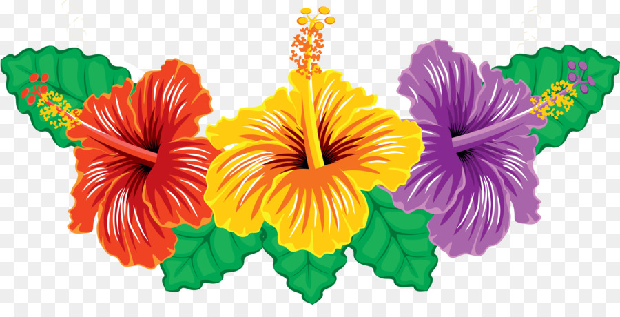 Hibiscus，ícones Do Computador PNG