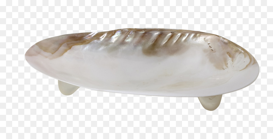 Clam，Seashell PNG