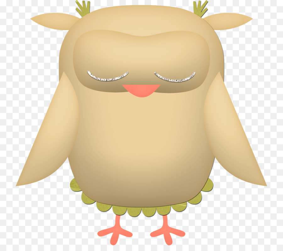 Coruja，Aves PNG