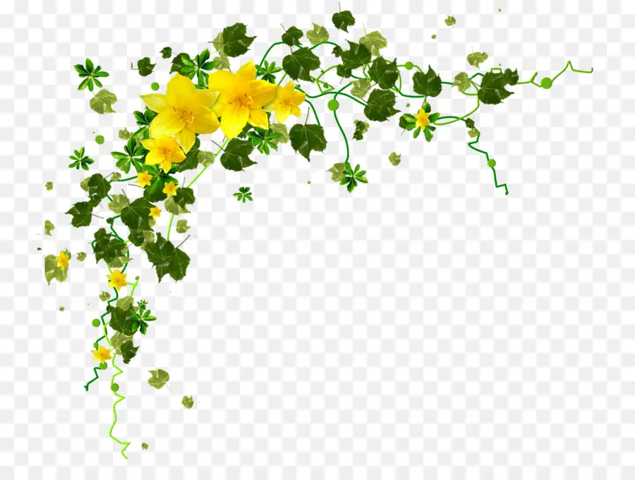 Flores Amarelas，Folhas Verdes PNG