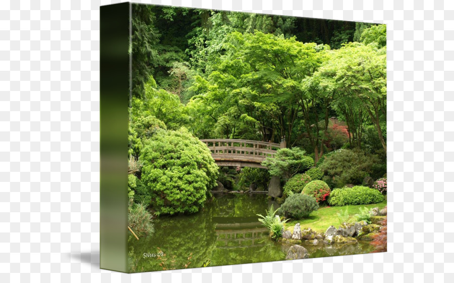 Portland Jardim Japonês，Arte PNG