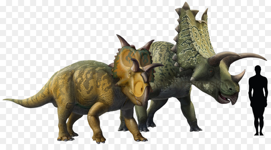 Dinossauros，Pré Histórico PNG