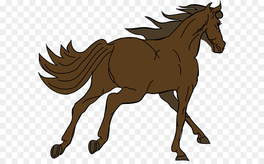 Cavalo Correndo，Animal PNG