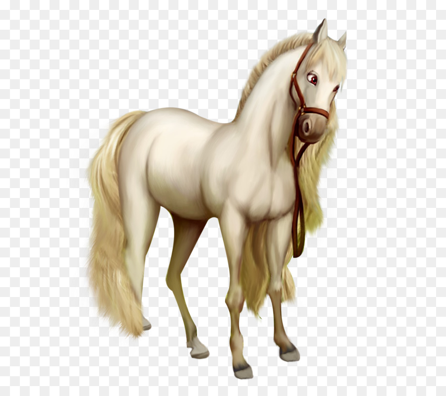 Cavalo Correndo，Animal PNG