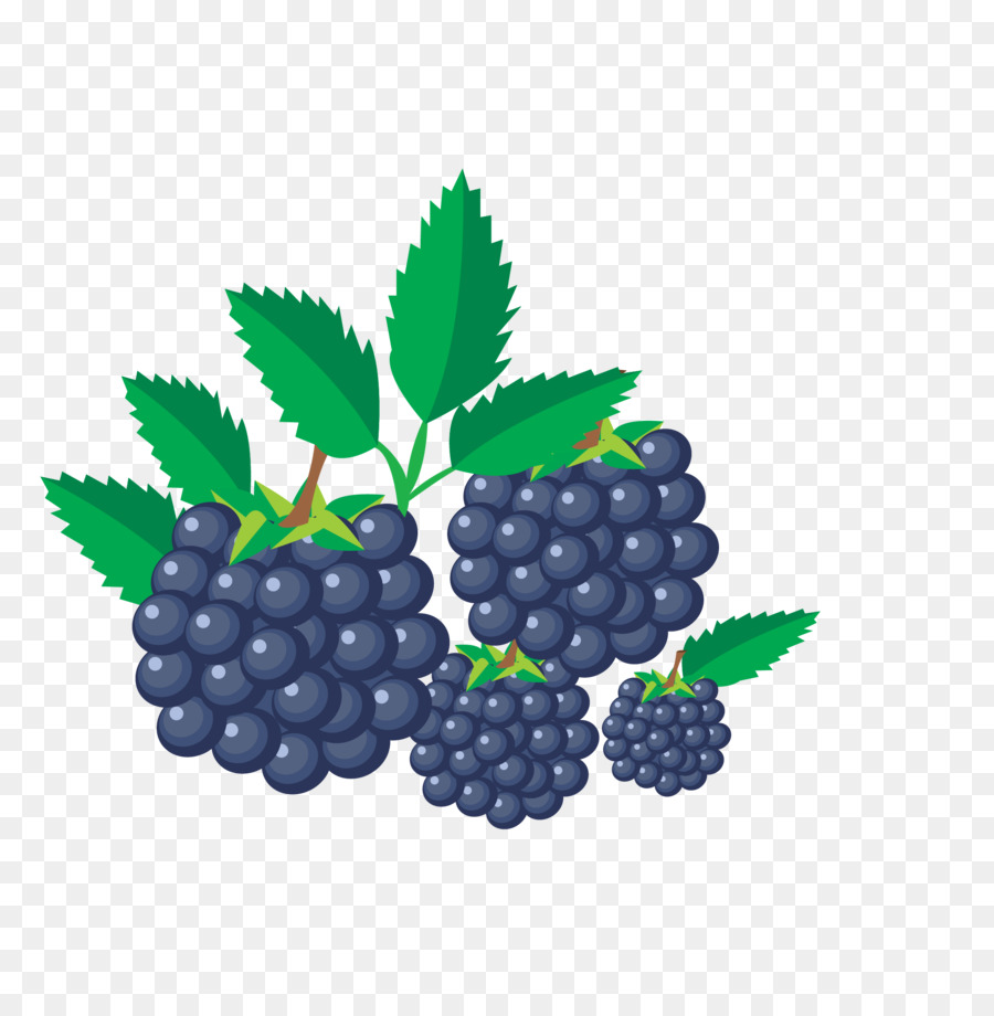 Frutas，ícones Do Computador PNG