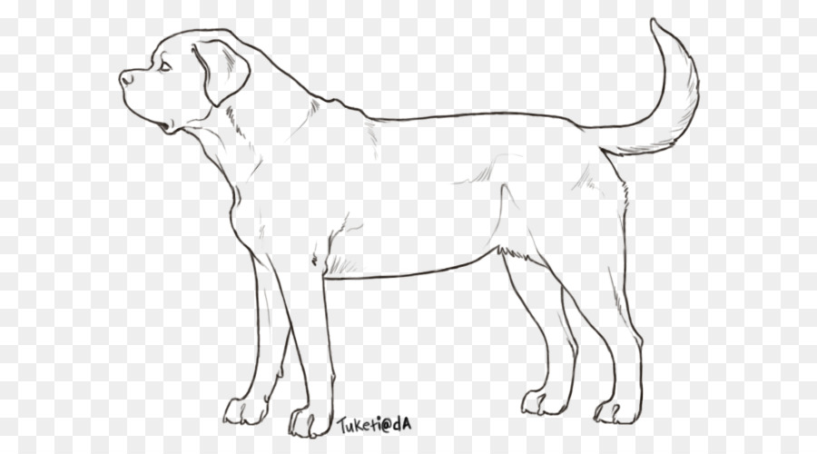 Raça Do Cão，Mastiff Inglês PNG