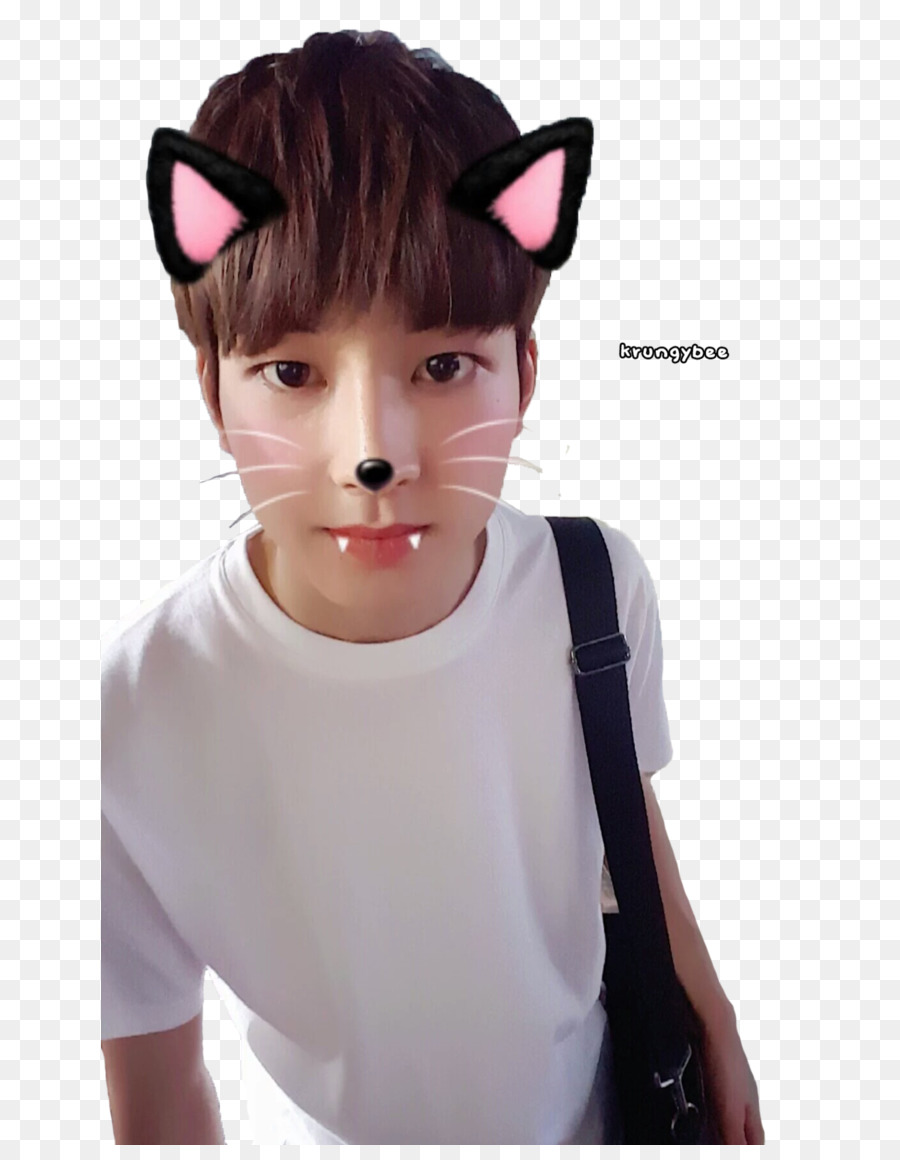 Wonwoo, Dezessete, 17 Quilates Png Transparente Grátis