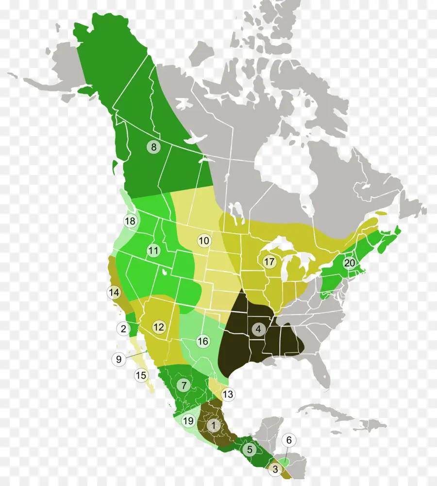 Mapa Da América Do Norte，Geografia PNG