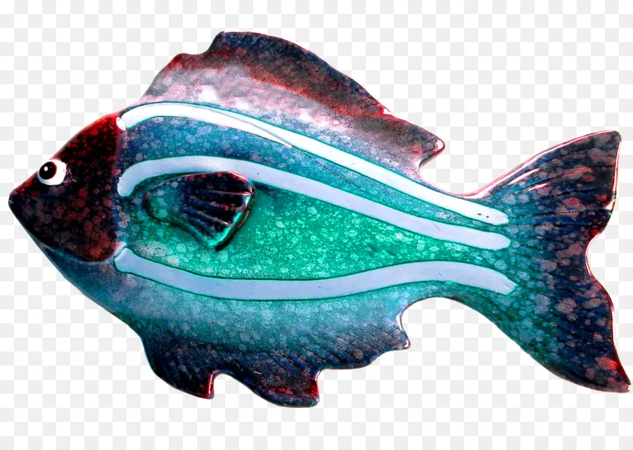 Peixe Colorido，Aquático PNG