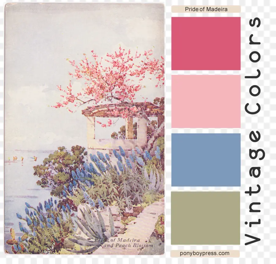 Cores Vintage，Pastel PNG