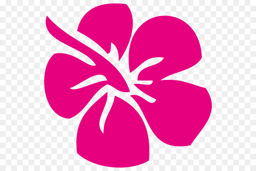 Hibisco Roxo，Florescer PNG