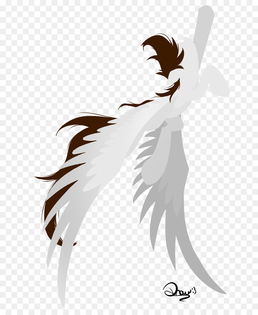 Desenho，Aves PNG