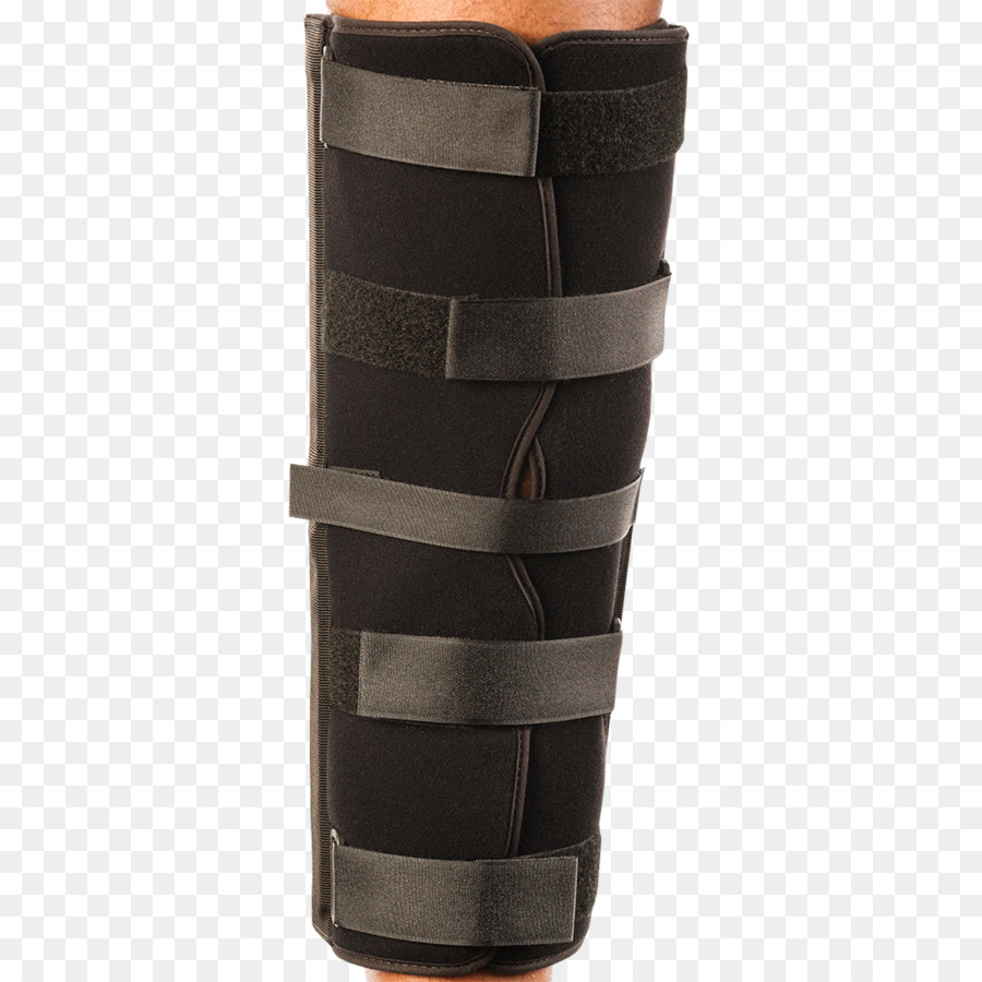 Joelho，Ligamento Cruzado Posterior PNG