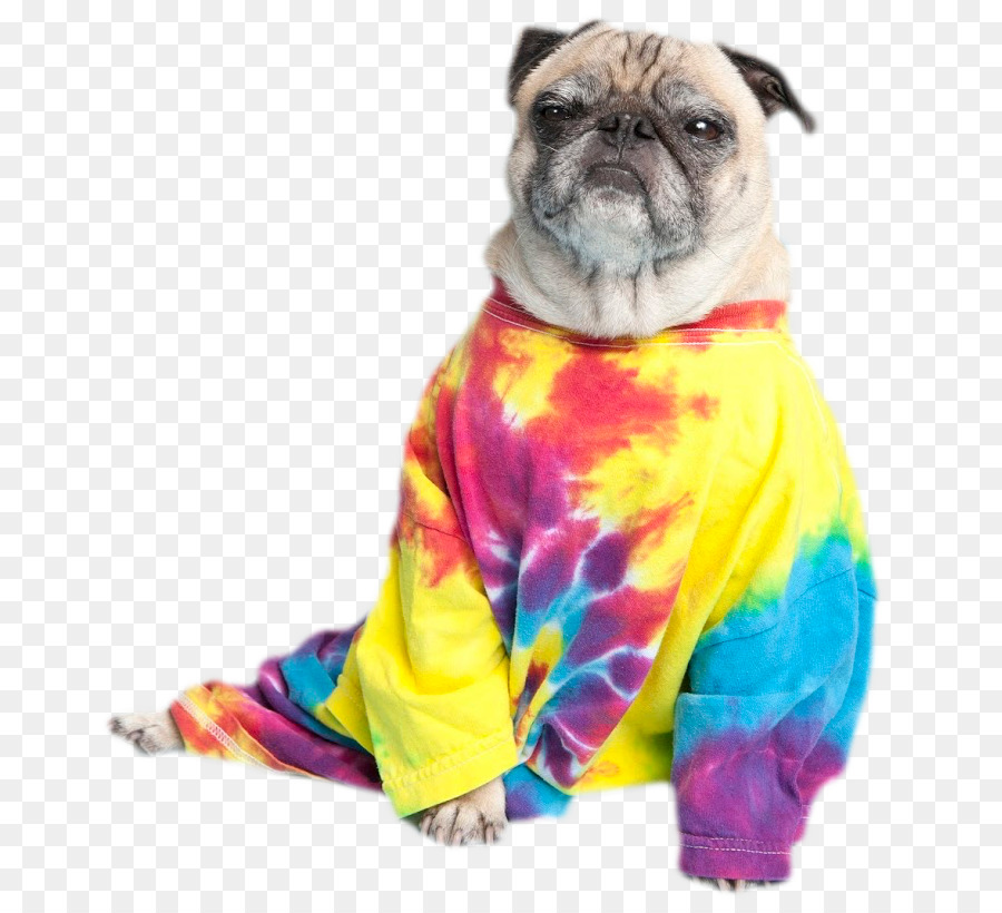 Pug Em Camisa Tie Dye，Bicho De Estimação PNG