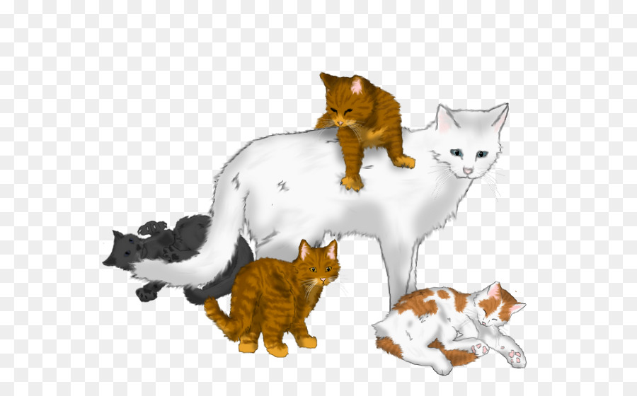 Gato E Gatinhos，Animais De Estimação PNG