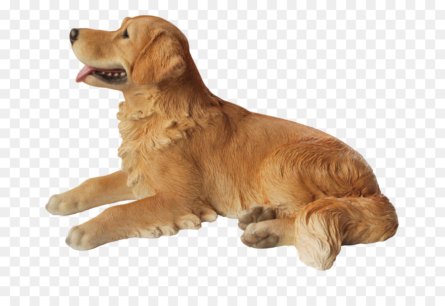 Cachorro，Branco PNG